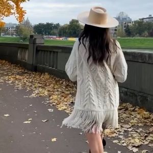 NWT Zara Fringe Knit Sweater